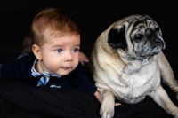 &quot;Lachendes Baby mit seinem Hund, beide schauen in die gleiche Richtung. Aufnahme von Pongratz Photography mit mobilem Fotostudio in Kaufbeuren.&quot;